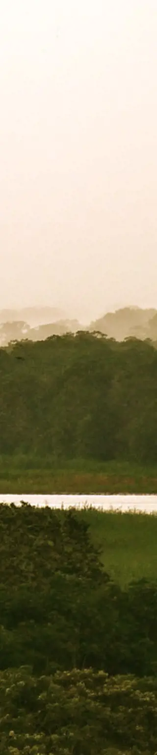 Unterwegs auf den Wasserstrassen des Amazonas